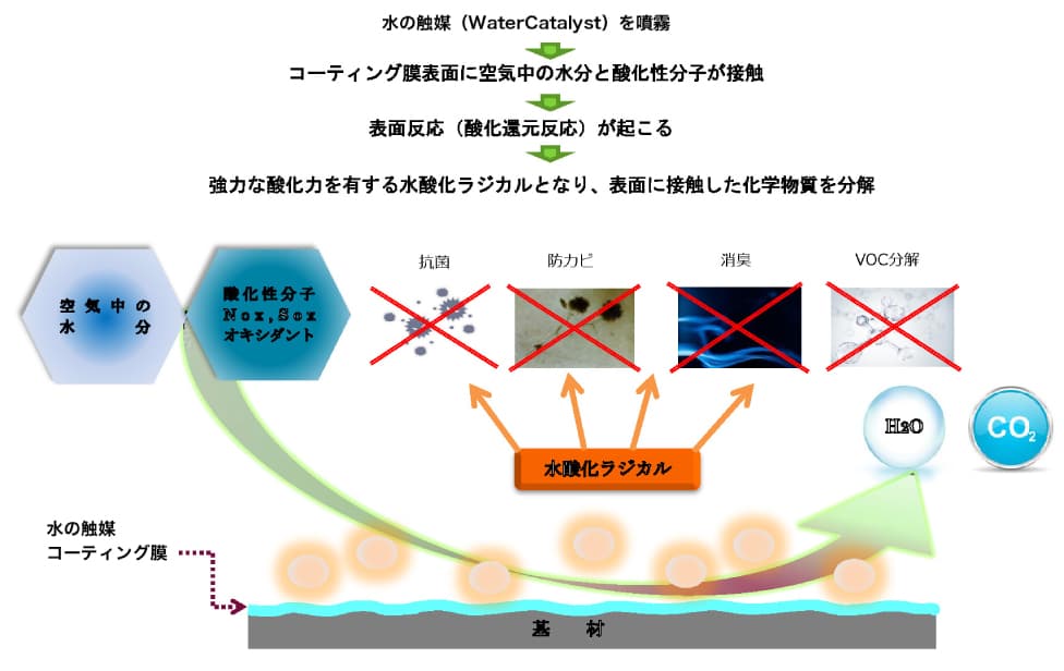 水の触媒（WaterCatalyst）分解メカニズム